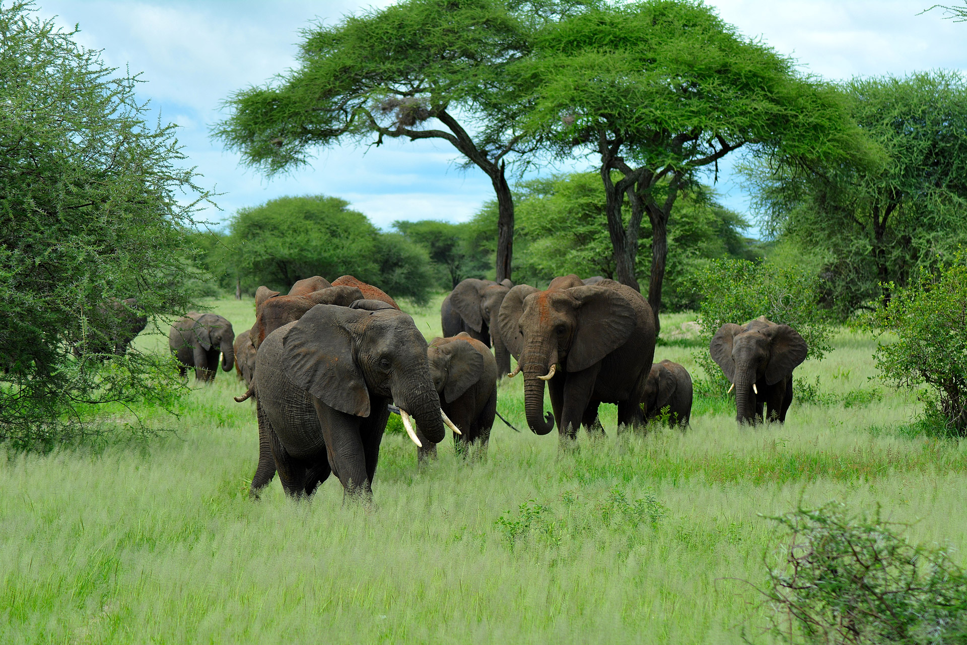 Tarangire National Park