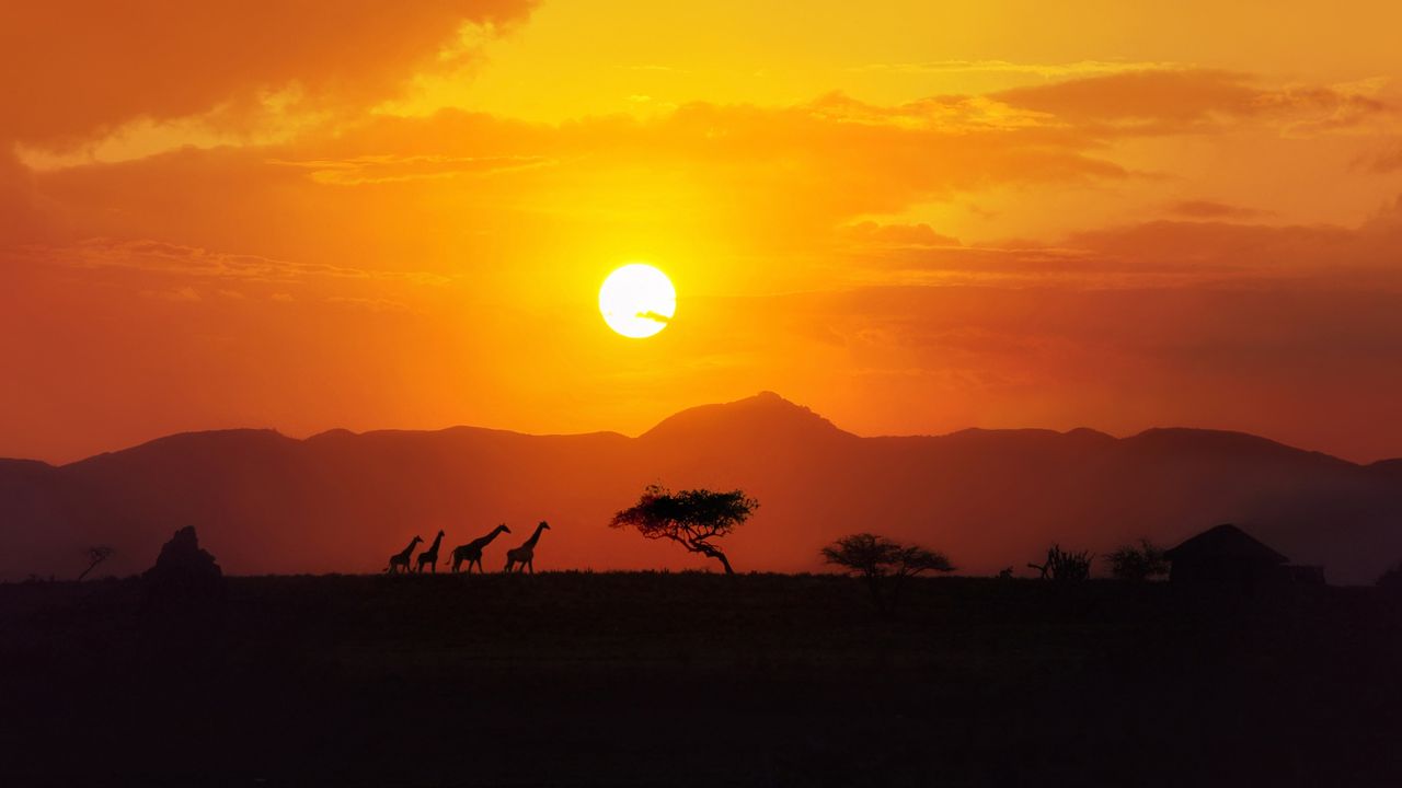 Beach Holidays in Africa: A Paradise for Beach Lovers