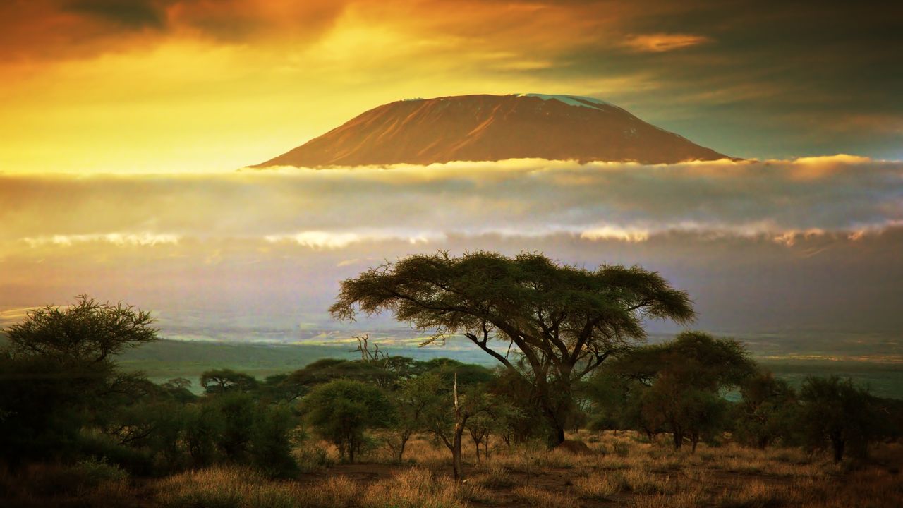 Beach Holidays in Africa: Explore Tropical Paradises
