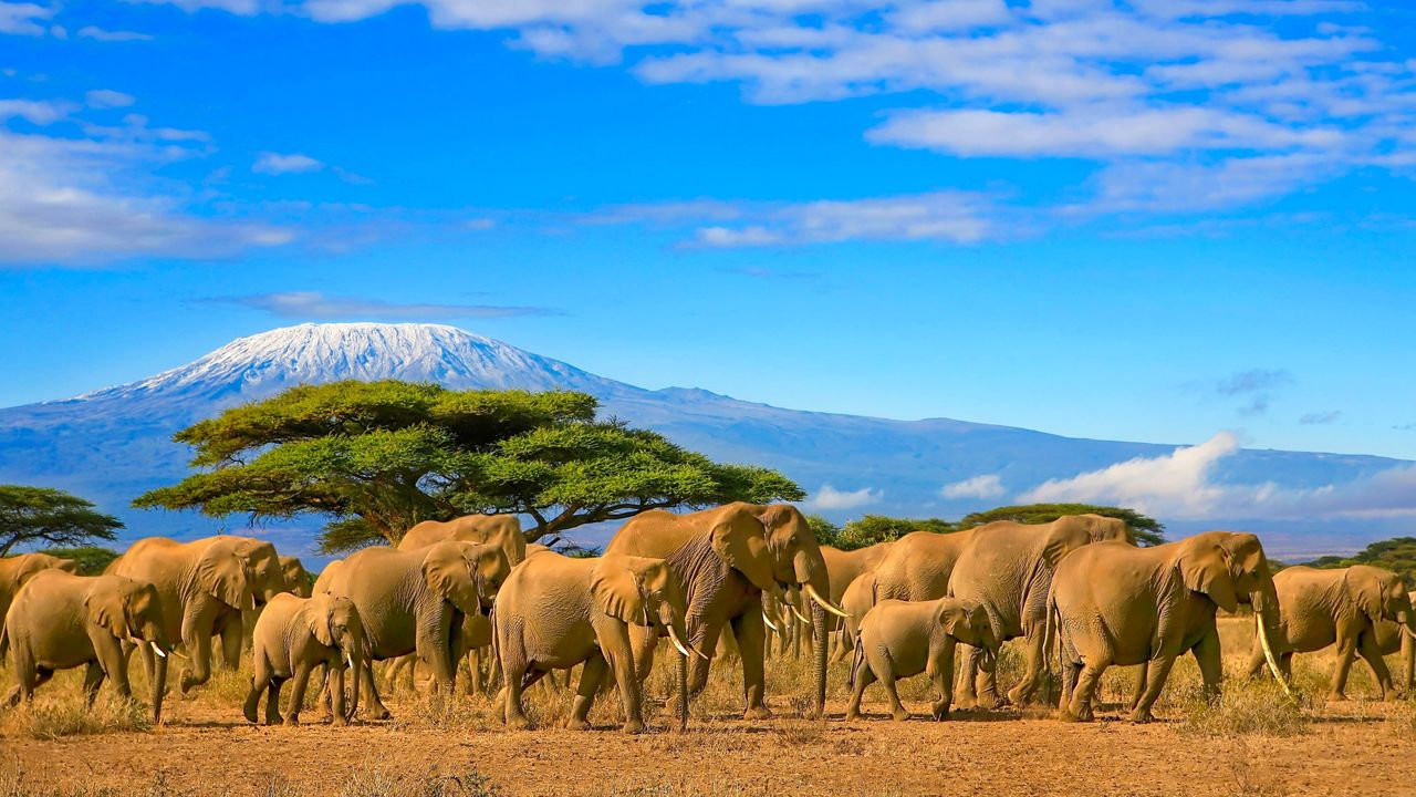 Beach Holidays in Africa: Relaxation and Conservation