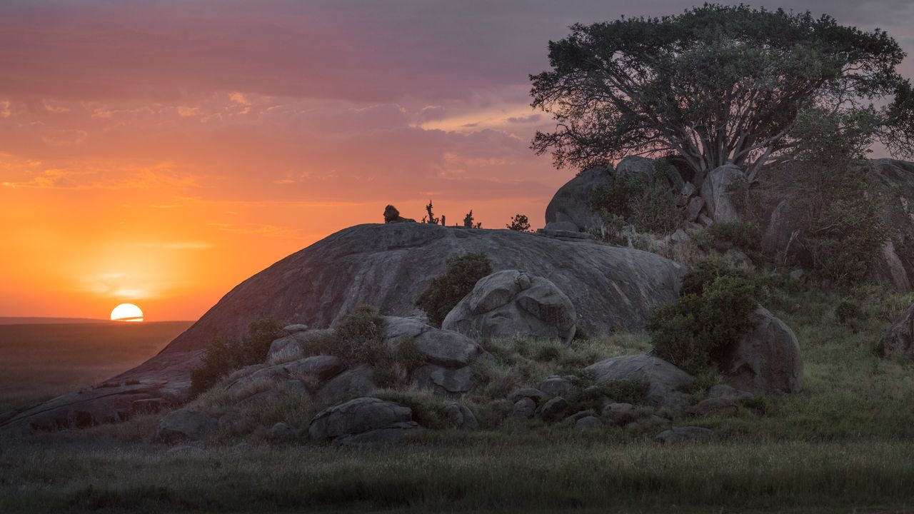 Tanzania Safari: Exploring Conservation Areas & Night Game Drives