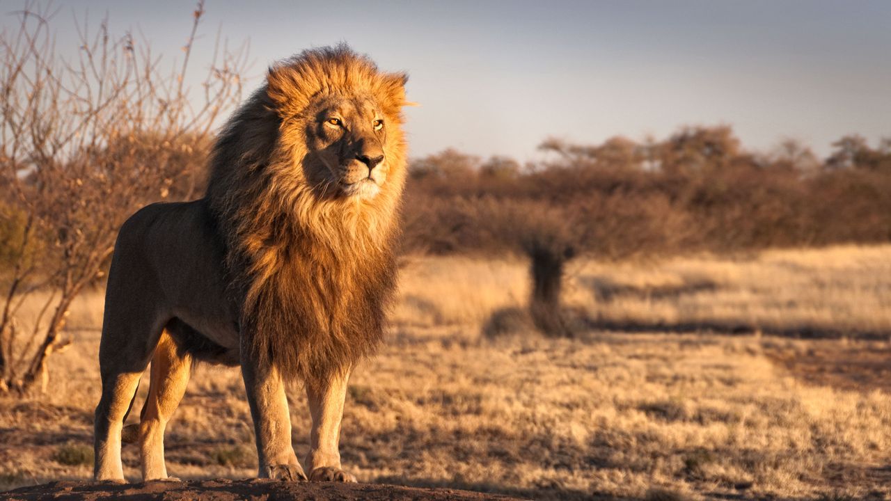 Thrilling Adventure Travel in Africa