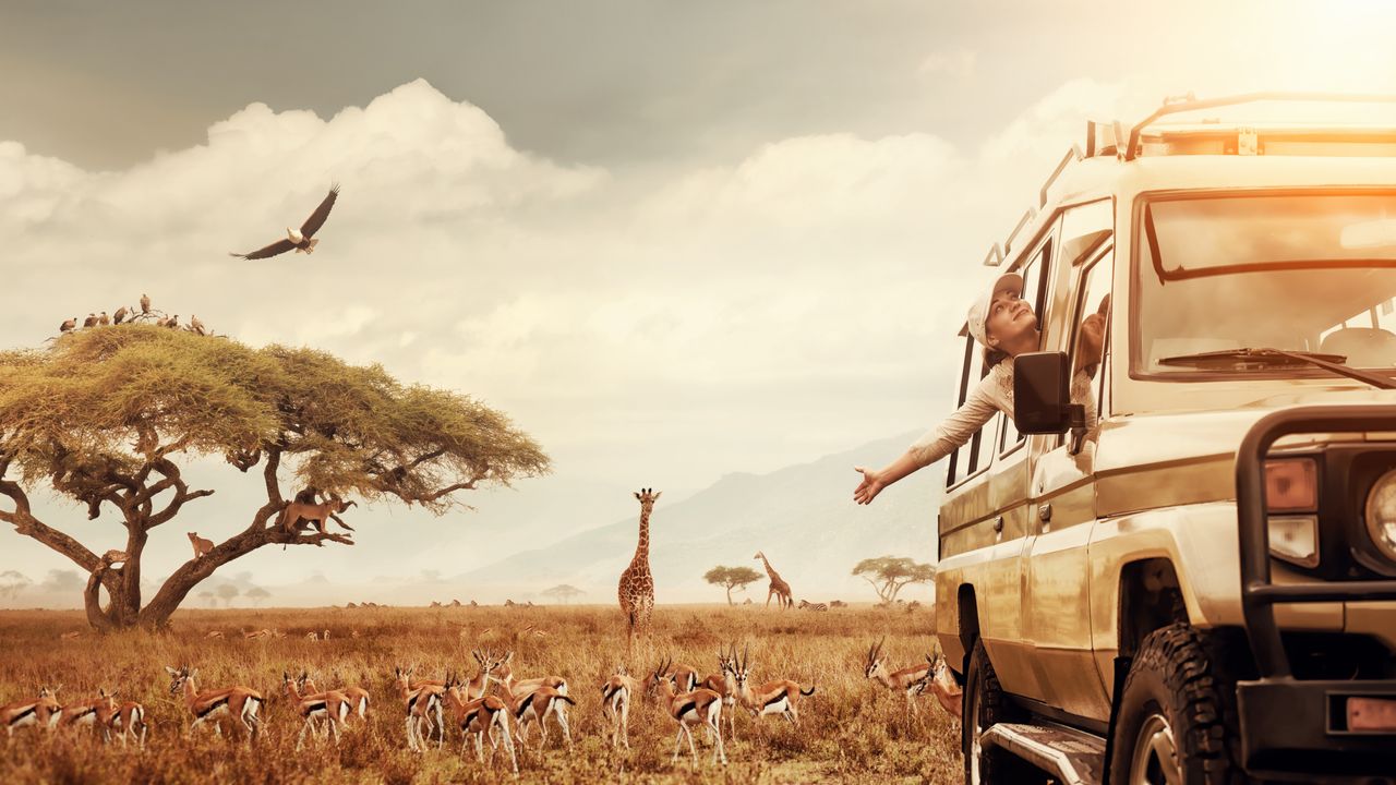 Adventure Travel in Africa: Mountain Climbing, Activities, Hiking