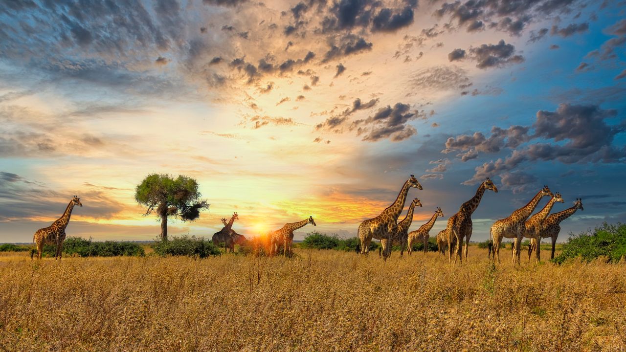 Exploring Africa's Historical Wonders