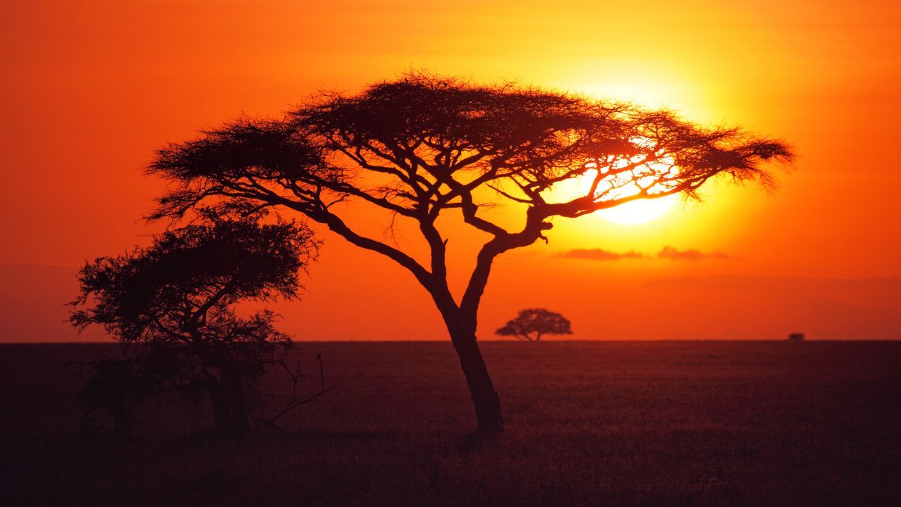 Tanzania Safari: Seasons, Manyara Park, Guides