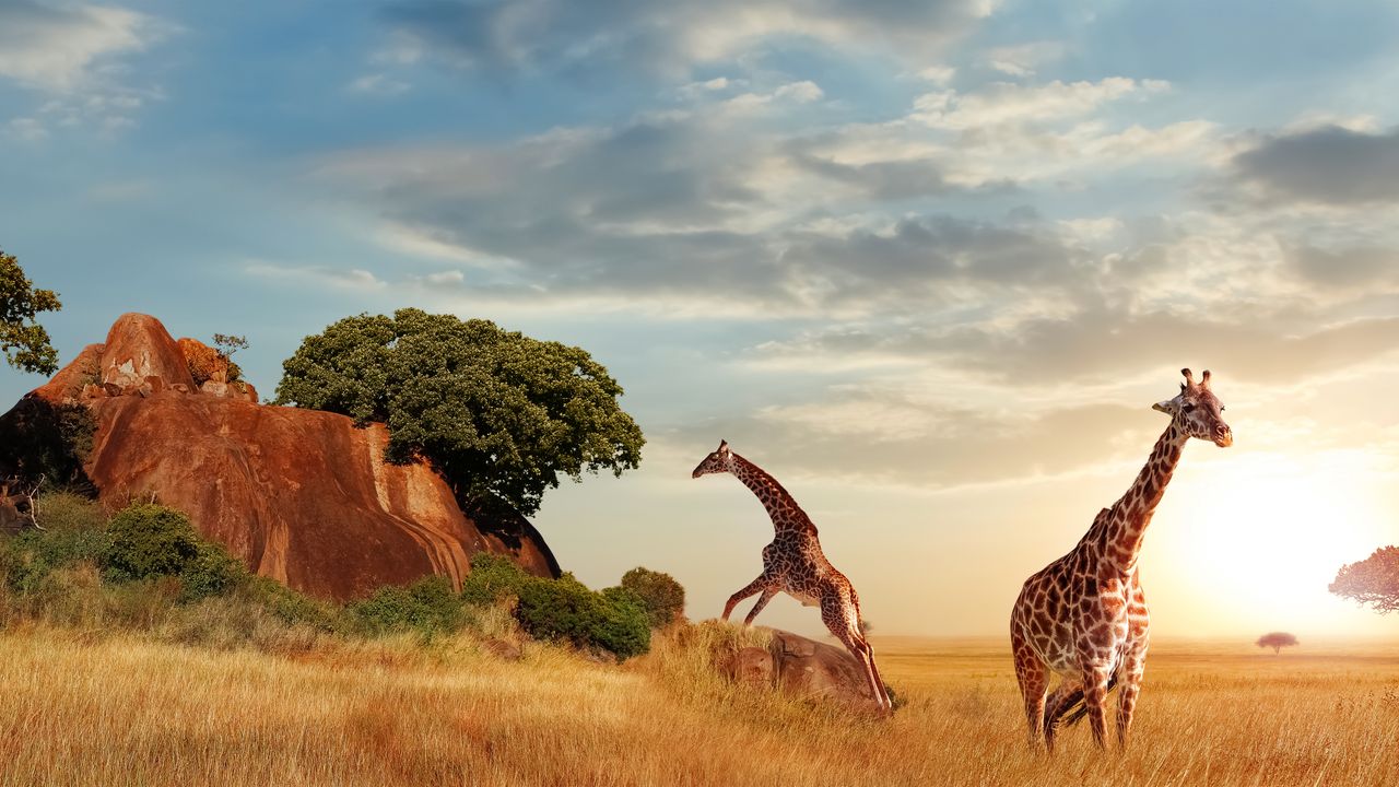 Unforgettable Serengeti Safari