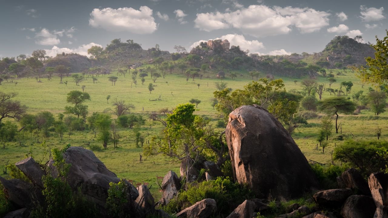 Unforgettable Tanzania Safari Adventure