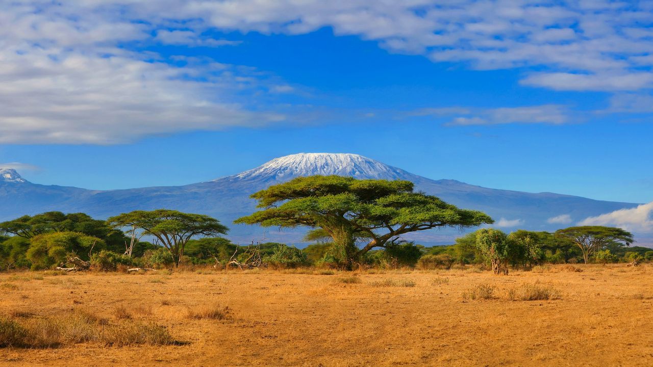 Exploring Africa's Historical Treasures