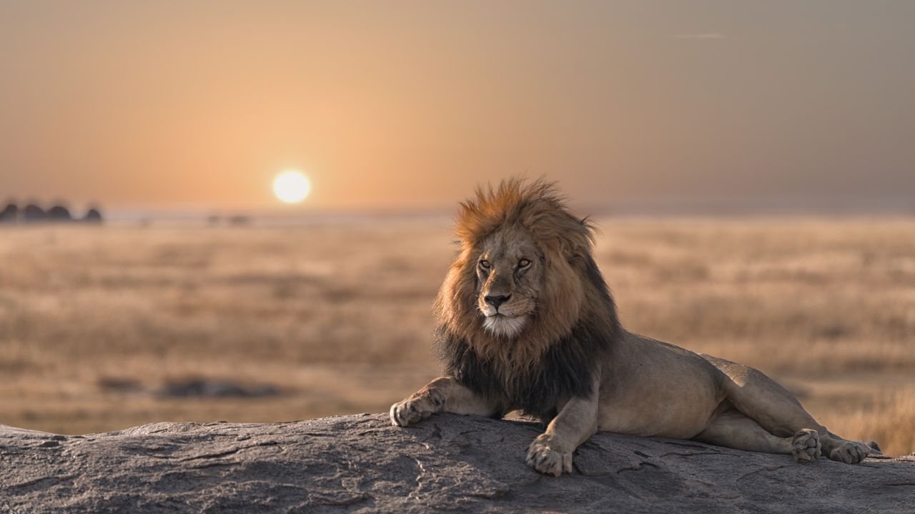 Preserving Africa's Historical Sites