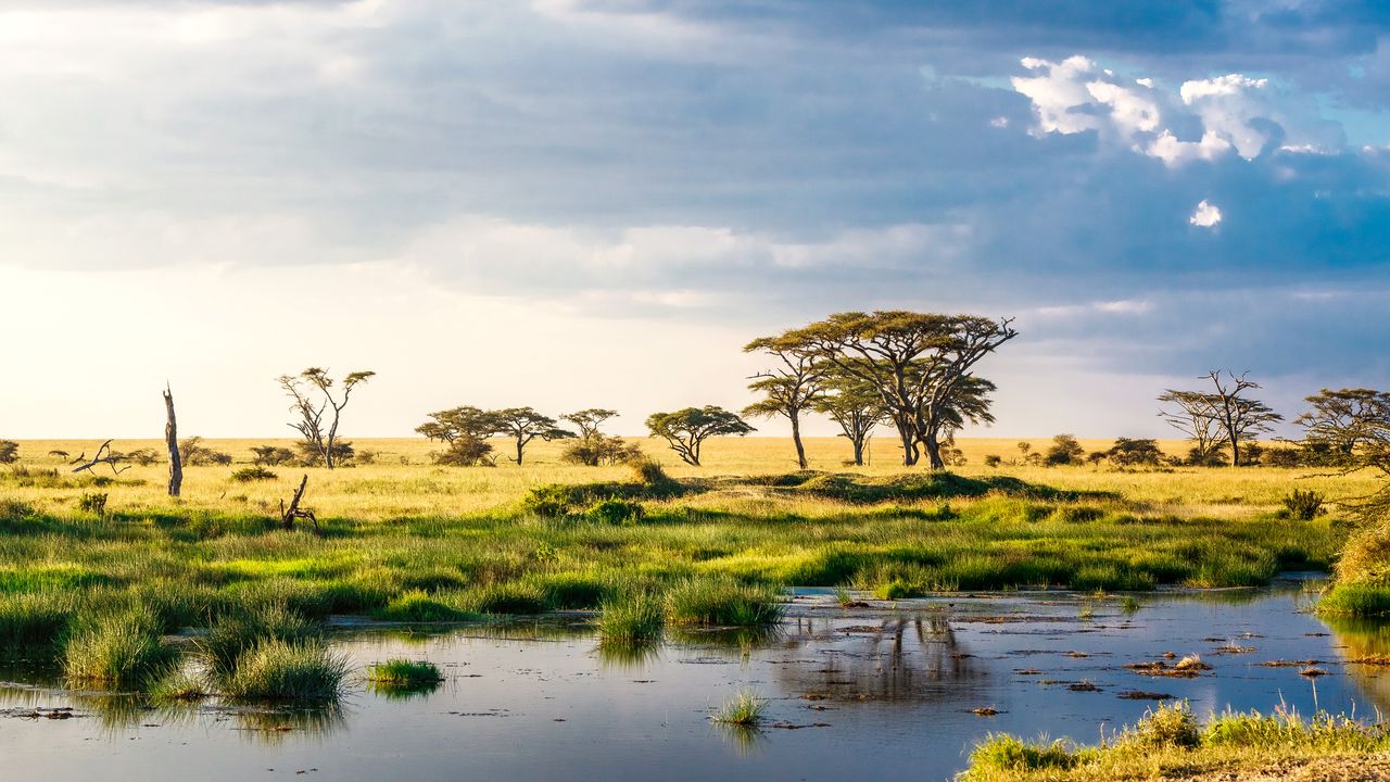 AdventureTravelAfricaMountainZipliningTips